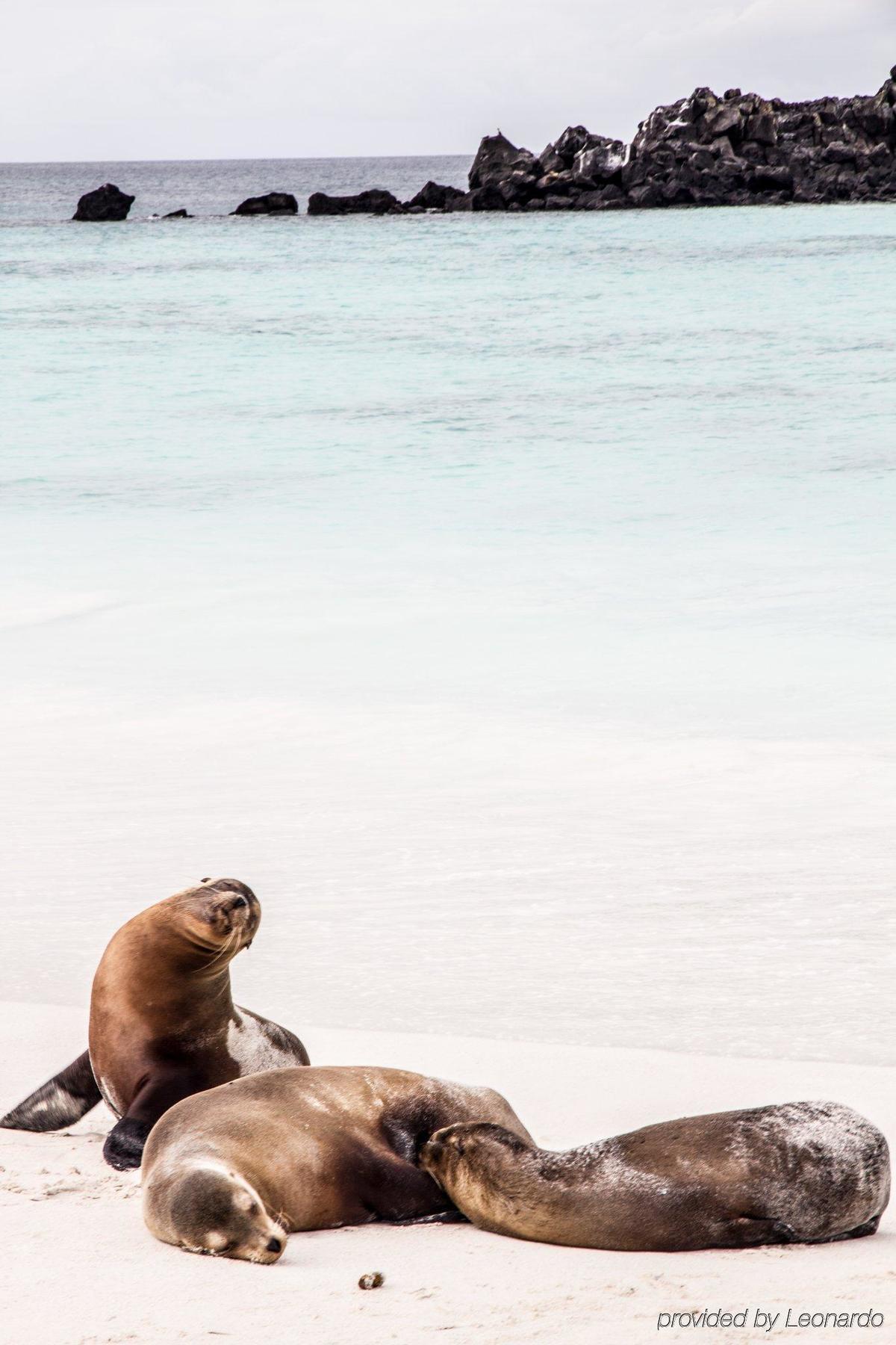 Finch Bay Galapagos Hotel 푸에르토아요라 외부 사진
