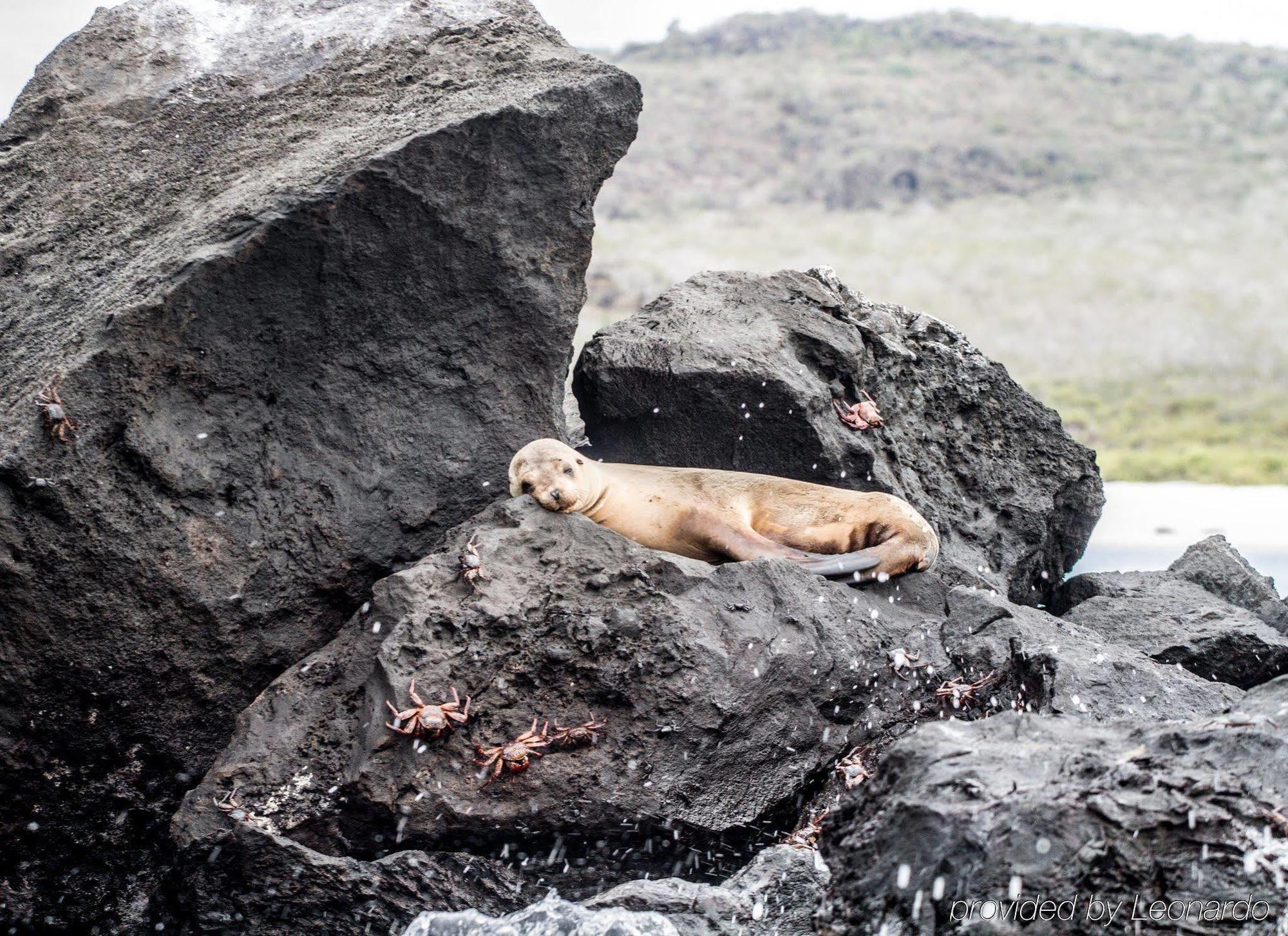 Finch Bay Galapagos Hotel 푸에르토아요라 외부 사진