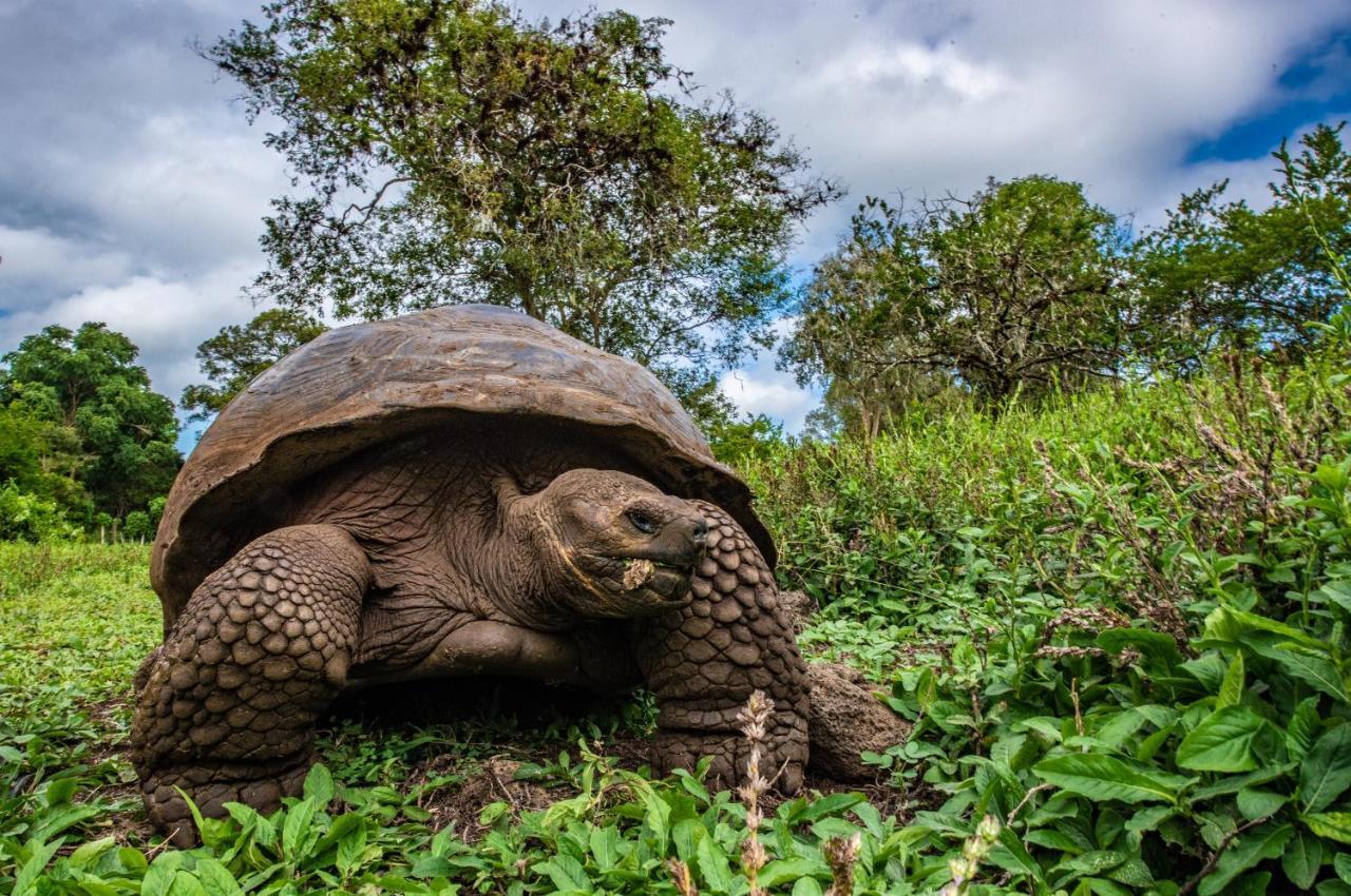 Finch Bay Galapagos Hotel 푸에르토아요라 외부 사진